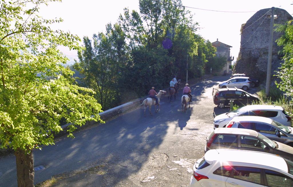 Forni Rosaia Villa Olivola  Exteriör bild