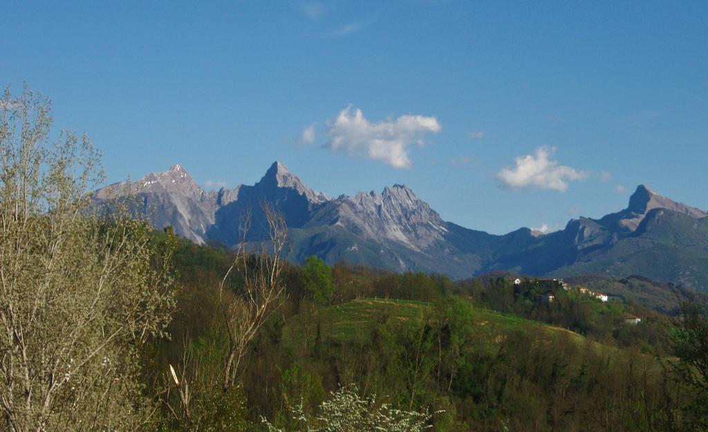 Forni Rosaia Villa Olivola  Exteriör bild