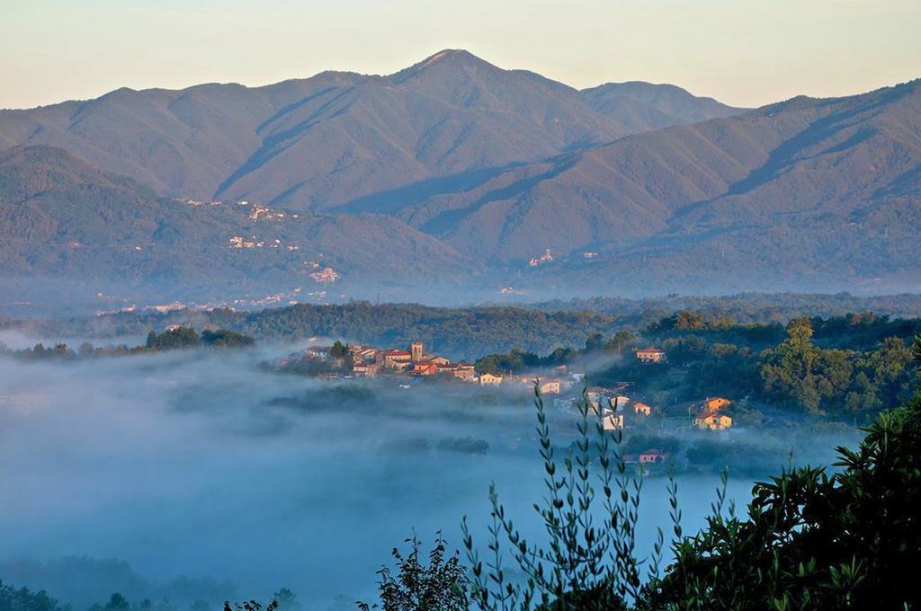 Forni Rosaia Villa Olivola  Exteriör bild