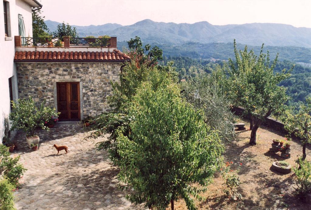 Forni Rosaia Villa Olivola  Exteriör bild