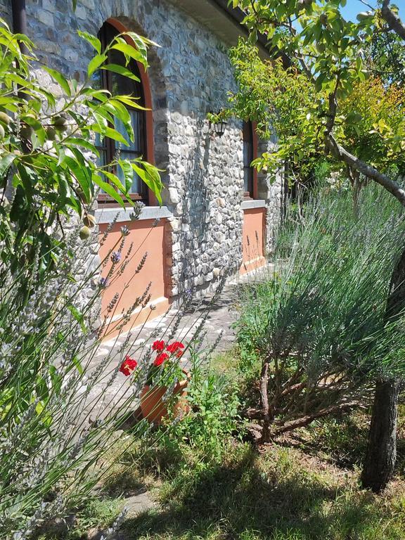 Forni Rosaia Villa Olivola  Exteriör bild